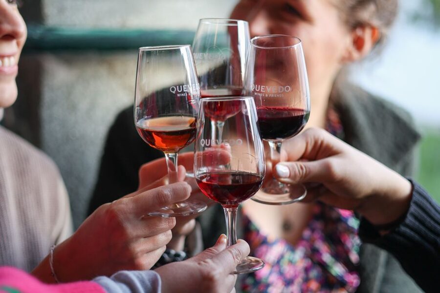 Vila Nova de Gaia: Port Wine Tasting with Cheese Pairing - Price and value: is 30 USD worth one hour?