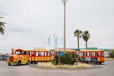 Tourist Train City Tour