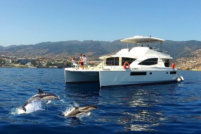 VipDolphins Luxury Whale Watching - Key highlights you’ll feel on the water