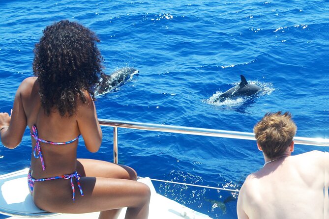 VipDolphins Luxury Whale Watching - The catamaran comfort that makes this feel like a treat