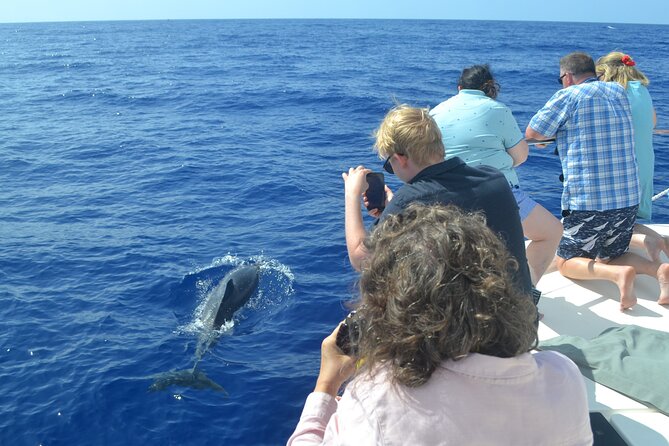 VipDolphins Luxury Whale Watching - Cabo Girão swim and snorkeling: why this stop is more than a break