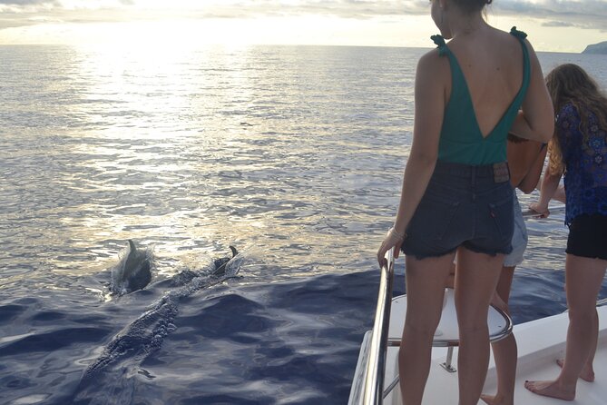 VipDolphins Luxury Whale Watching - Snacks, champagne-style drinks, and how the service affects the day