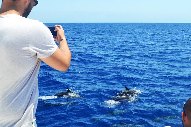 VipDolphins Luxury Whale Watching - Who should book this cruise, and who should think twice