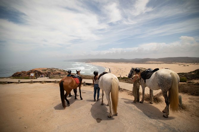 Welcome to Carrapateira Horse Riding Tour - The Route Breakdown: Beach to Cliffs to Vegetation to Dunes