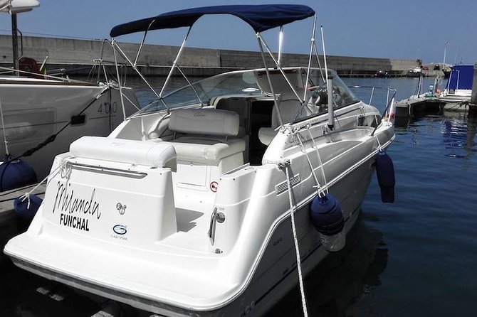 Whale and Dolphin Watching Tour in Madeira - Getting On The Water: Calheta Marina Meet-Up And Yacht Miranda