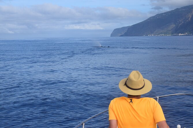 Whale and Dolphin Watching Tour in Madeira - Whale And Dolphin Watching: Spotters, Rules, And Realistic Expectations