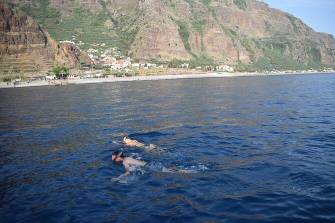 Whale and Dolphin Watching Tour in Madeira - Sunset Timing Notes: Sparkling Wine, Snorkeling, And No Whale Watching