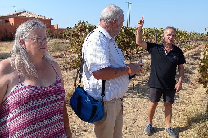 Wine Lovers: Winery Tour w/ Tasting & Tapas (Albufeira/Vilamoura) - Wine tasting, tapas, and Albufeira viewpoints in one half-day