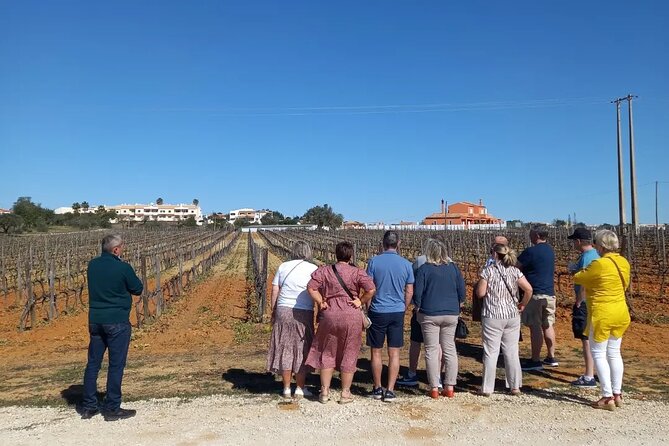 Wine Lovers: Winery Tour w/ Tasting & Tapas (Albufeira/Vilamoura) - Scenic off-road driving and Old Albufeira viewpoints