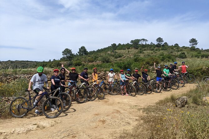 Wine Tasting Tour - The picnic stop that turns the countryside ride into a real meal break