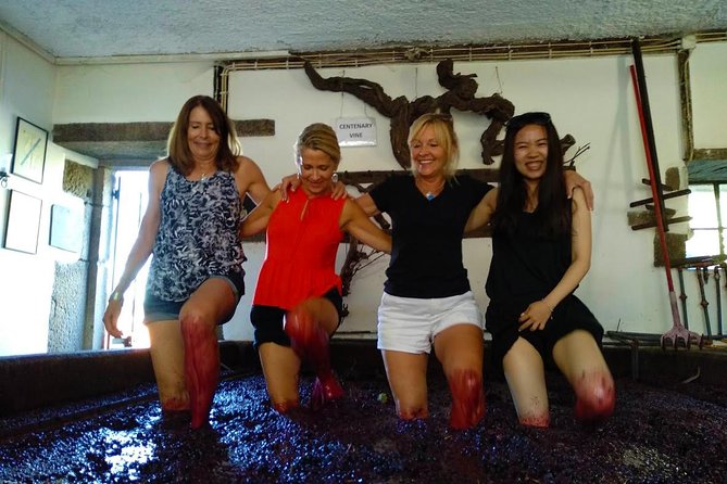 Wine Venture and Boat Trip in Douro Valley from Porto - Practical tips so you enjoy every stop