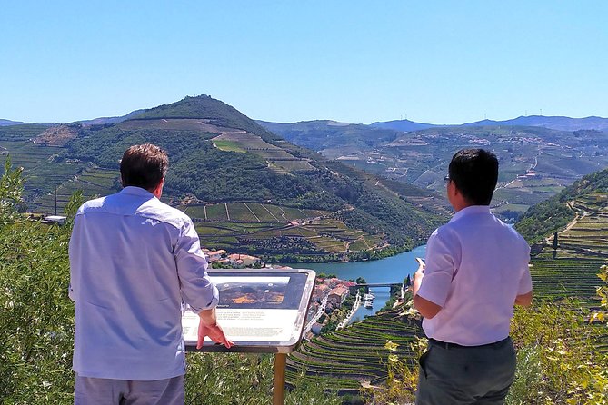 Wine Venture and Boat Trip in Douro Valley from Porto - Who should book this Douro trip, and who might want a different plan